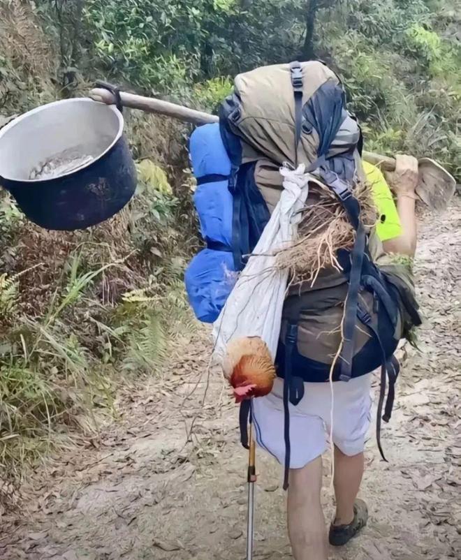 步人登山喜欢带着活鸡？pg电子娱乐平台为何徒(图2)