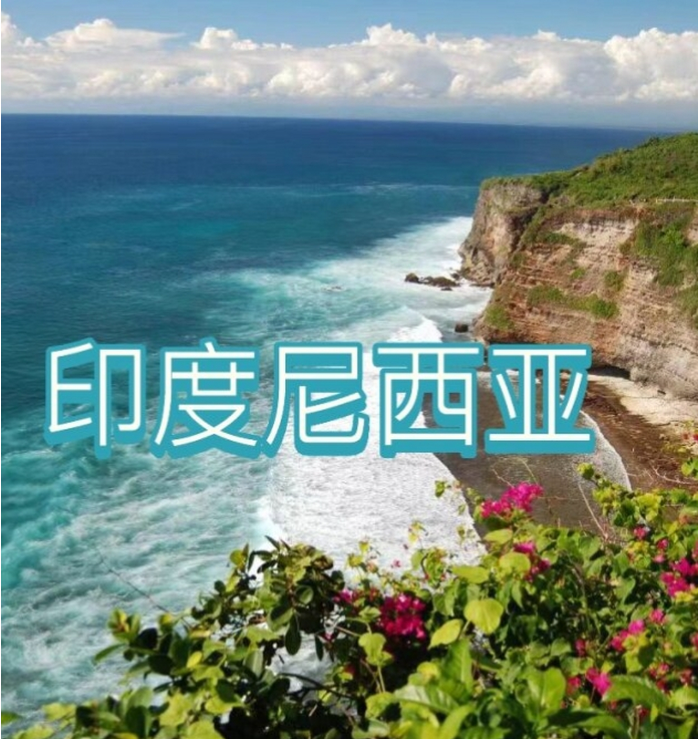 国际电商(印尼)产业博览会pg电子首页2025中国(图3) 国际电商(印尼)产业博览会pg电子首页2025中国(图3)