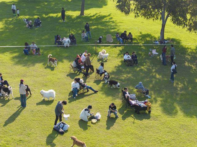 片揭露露营热退潮后藏着残酷真相电子pg上帝视角惊爆!数万张照(图2) 片揭露露营热退潮后藏着残酷真相电子pg上帝视角惊爆!数万张照(图2)